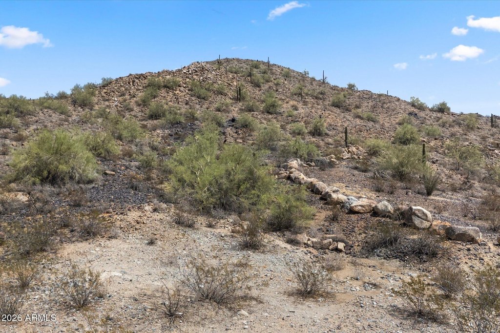 Picture 16