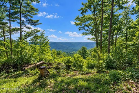 Wooded Lot with Mountain Views