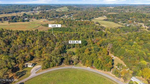 Englewood, TN Wooded Acreage