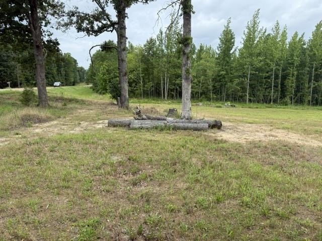 Picture 23