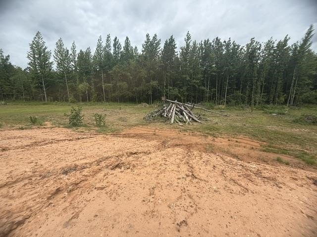 Picture 18