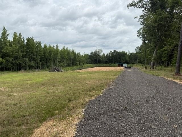 Picture 22