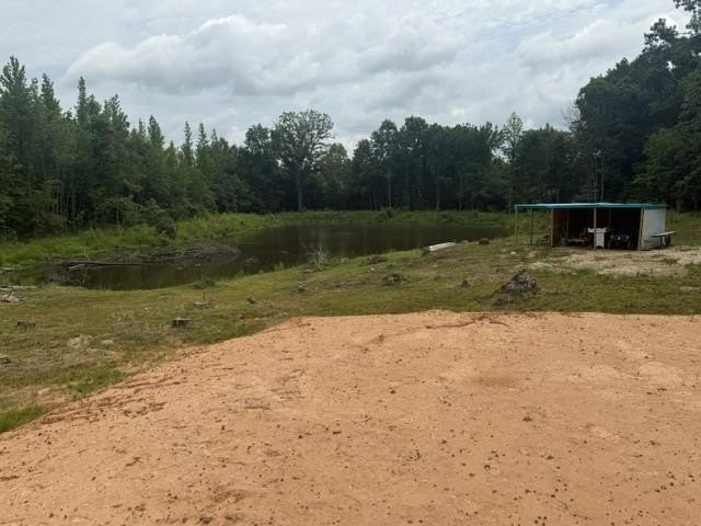 Picture 14
