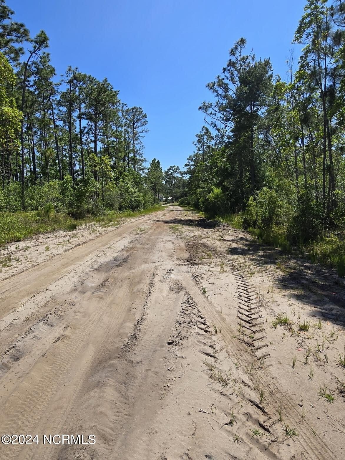 Triple Lot in Wooded Area