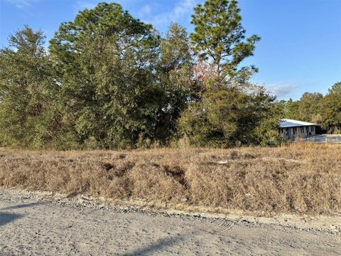 BELLEVIEW, FL Land For Sale