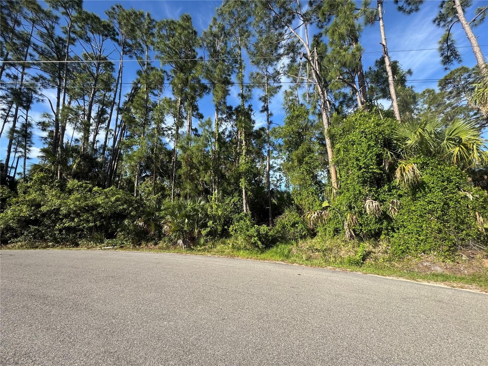 Spacious Lot in Growing Community
