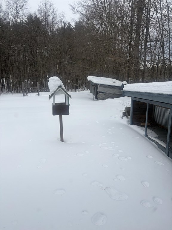 Picture 5