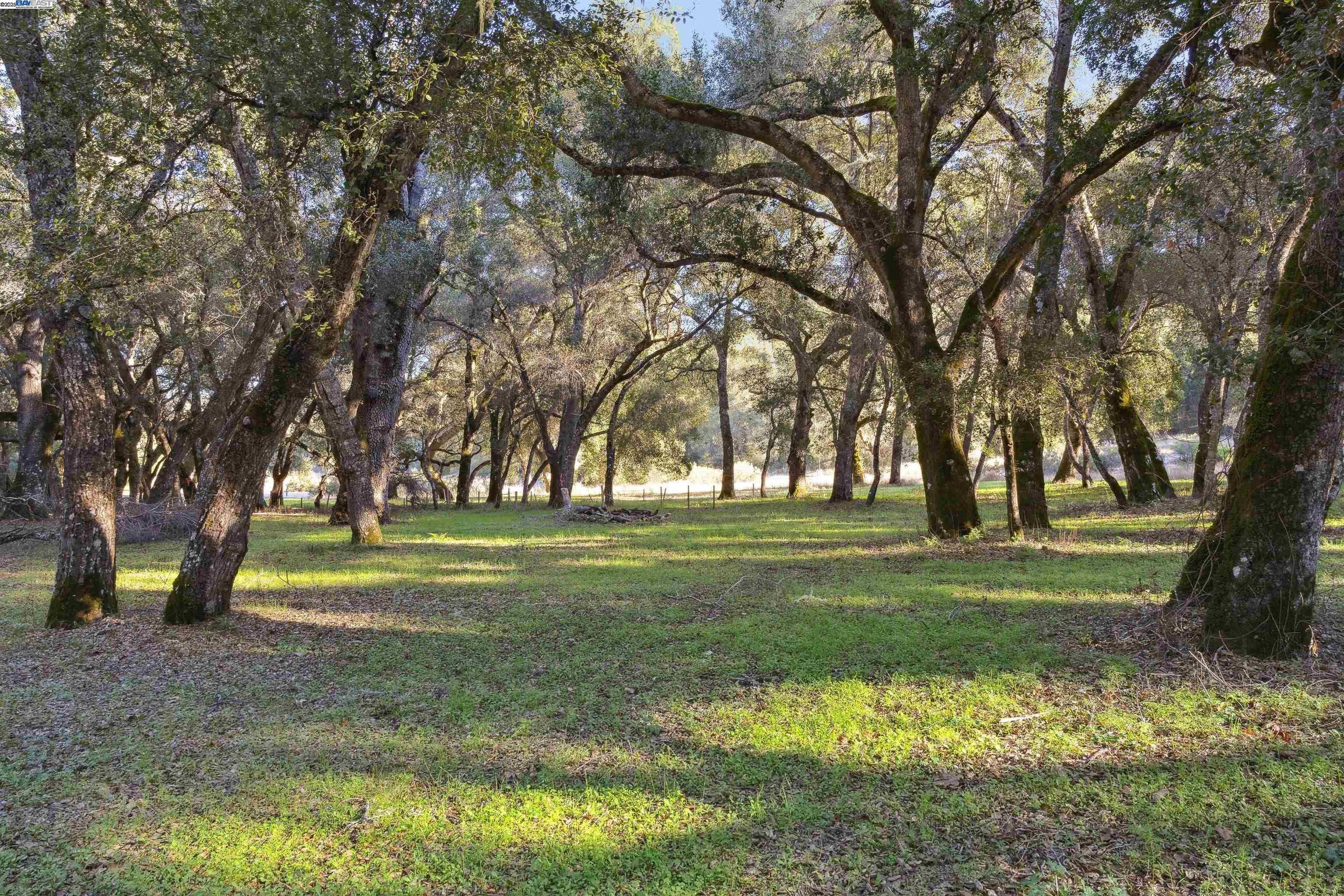 Santa Lucia Preserve Land Parcel