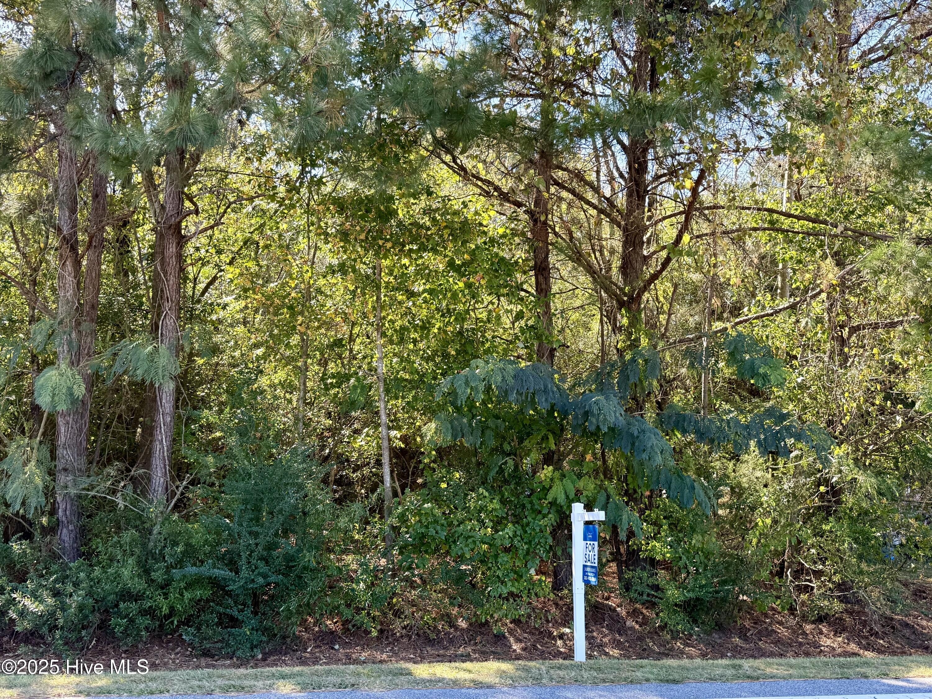 Unrestricted Wooded Land Near Ayden