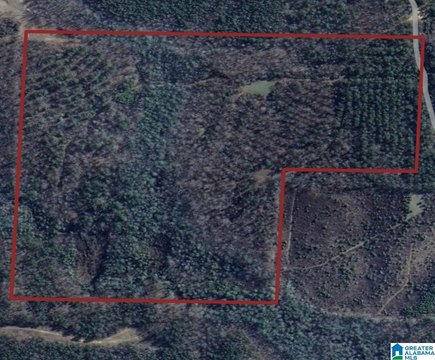 Ag Hunting Land