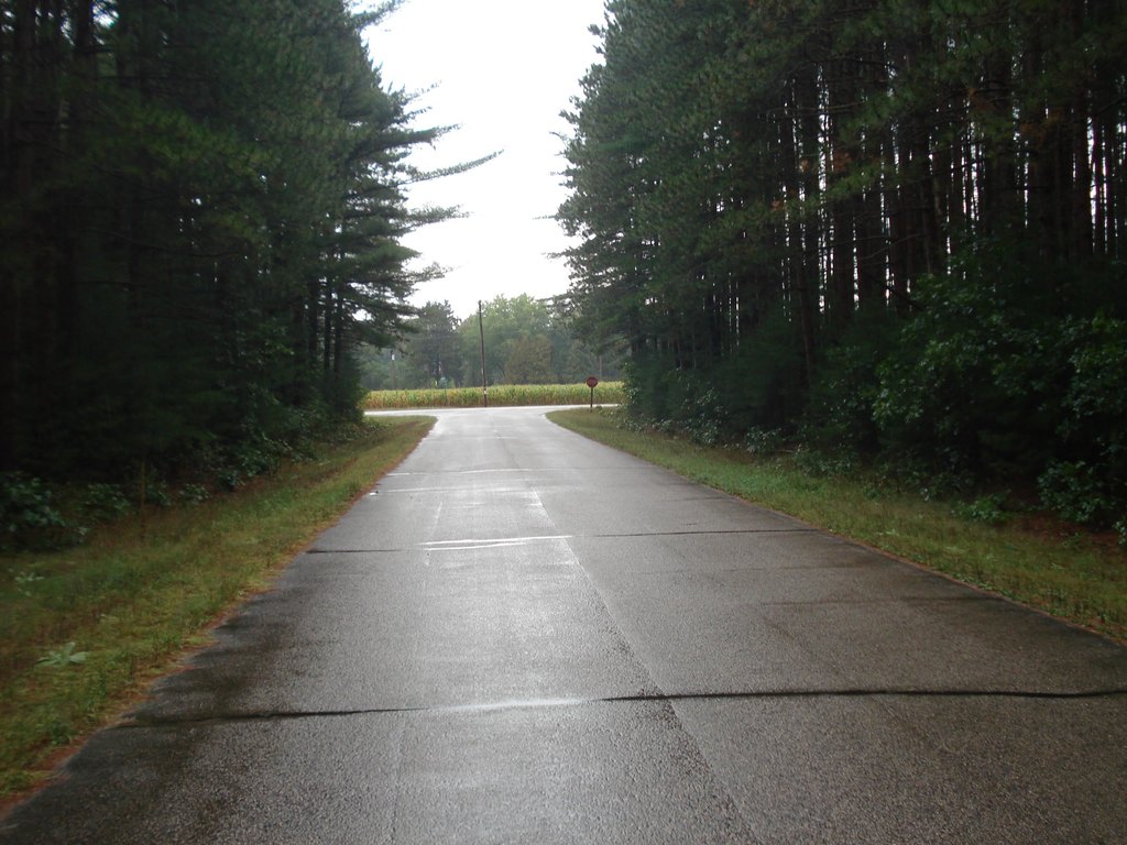 Picture 2