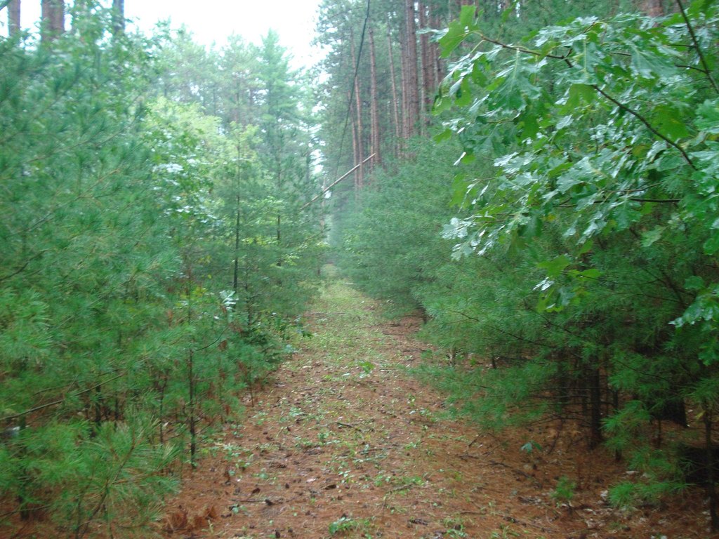 Picture 7