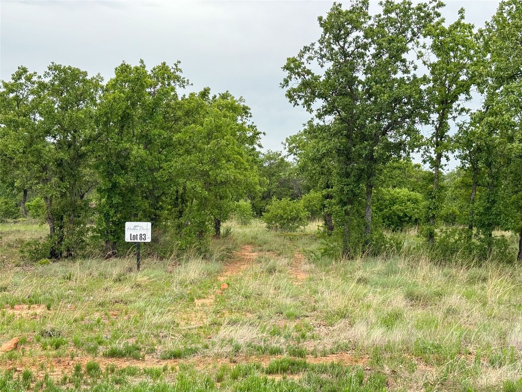 Picture 20