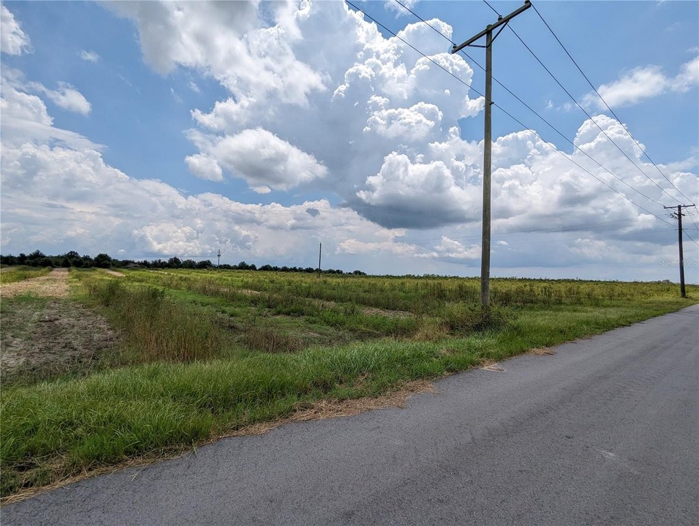 Picture 21