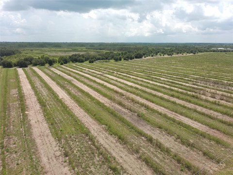 LAND - HAINES CITY, FL