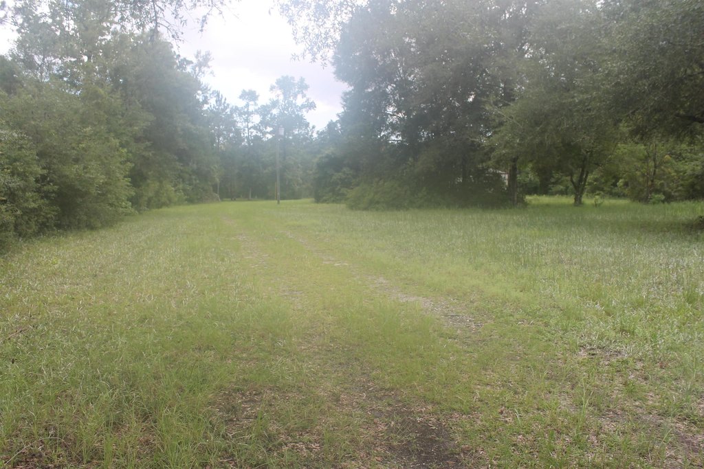 Picture 3
