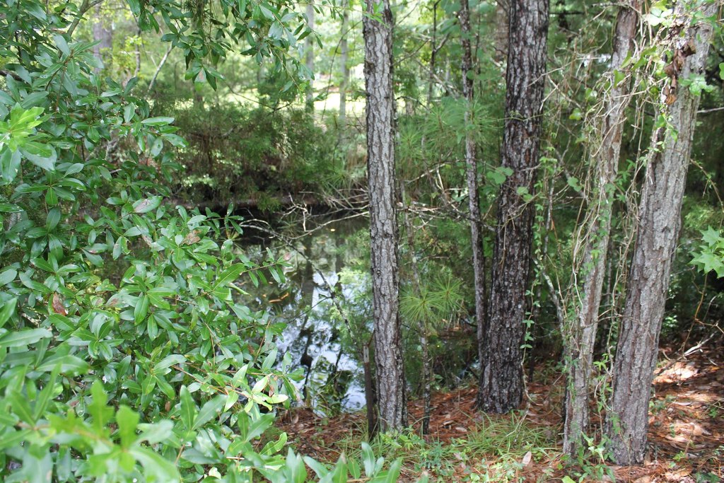 Picture 6