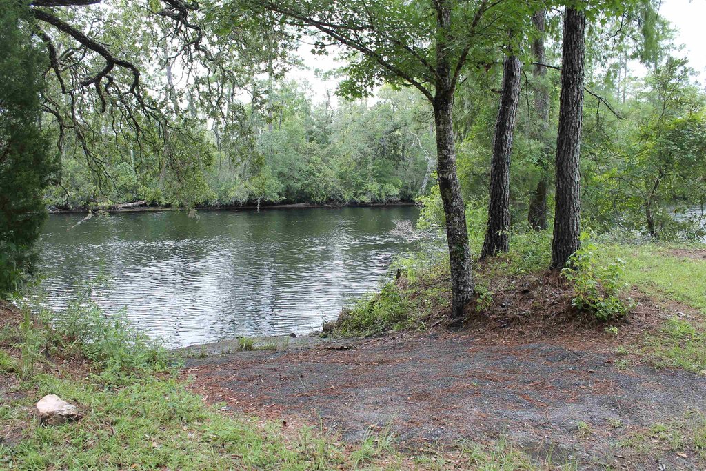 Picture 5