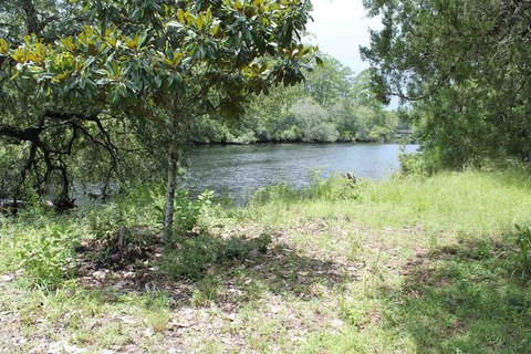 LAND - Sopchoppy, FL