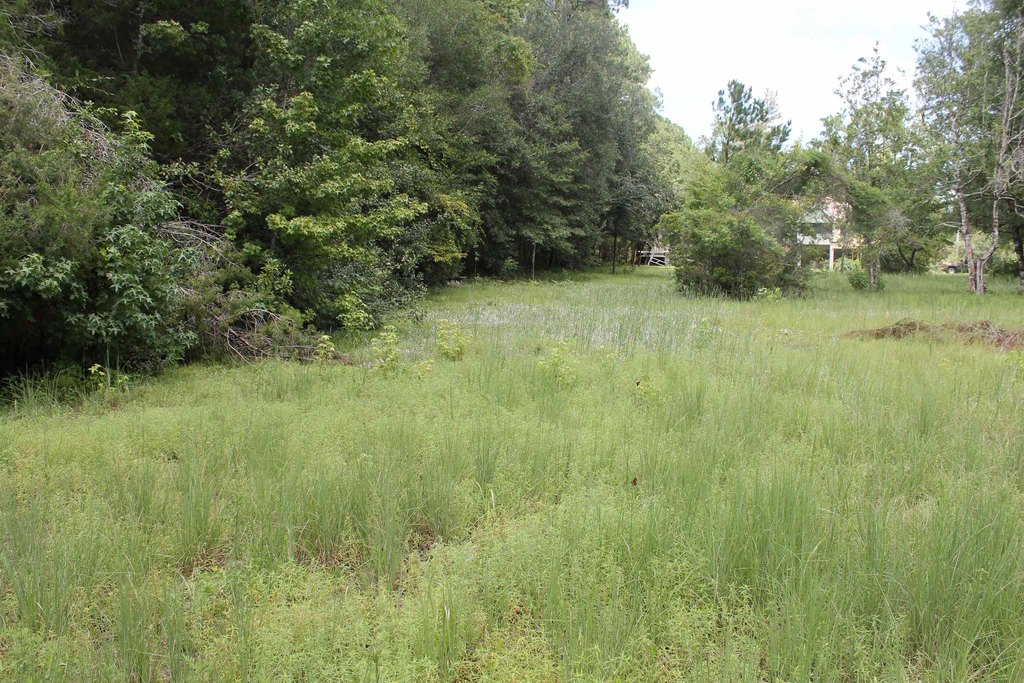 Picture 7