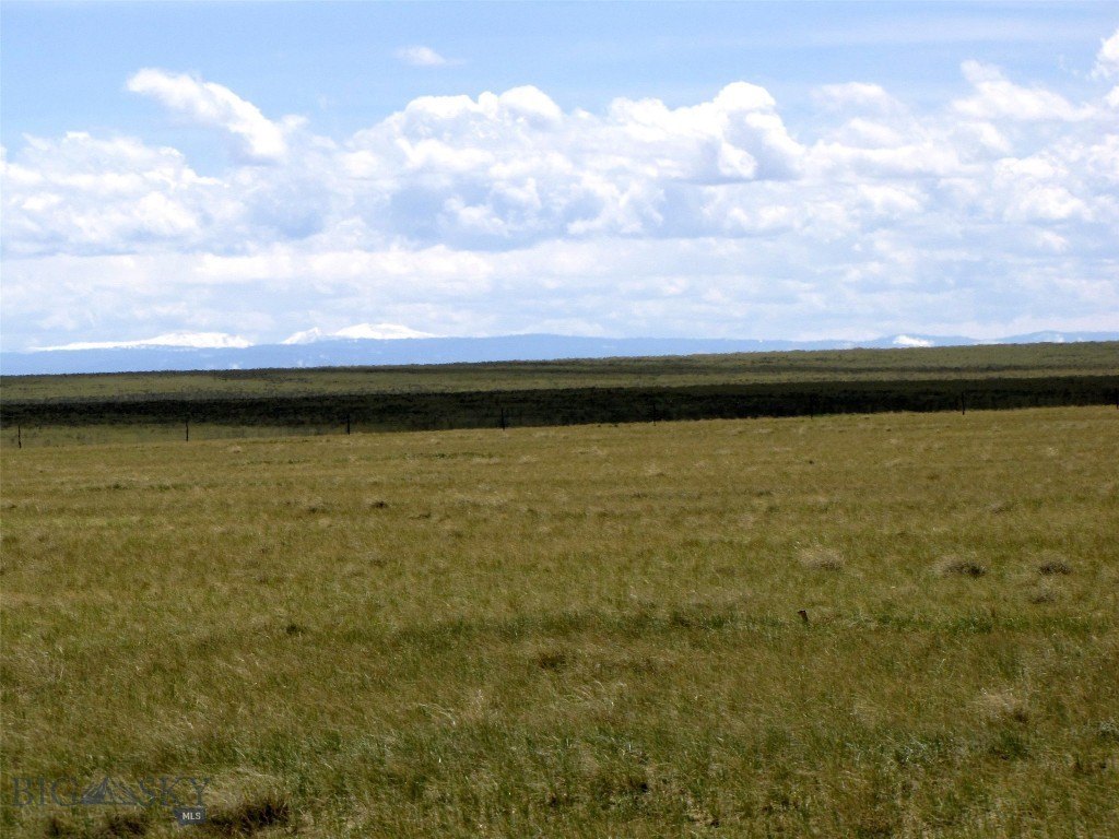 Picture 35