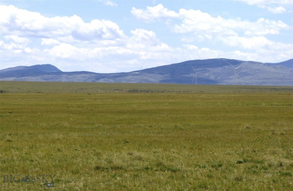 Picture 37
