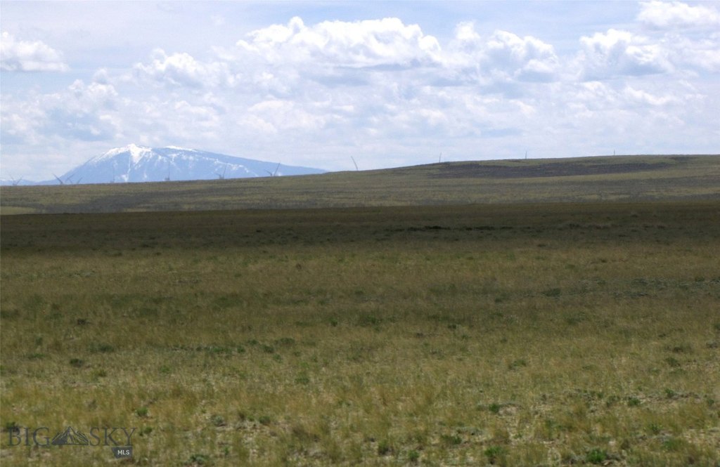 Picture 39