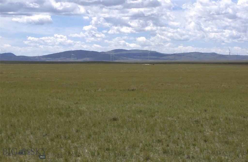 Picture 34