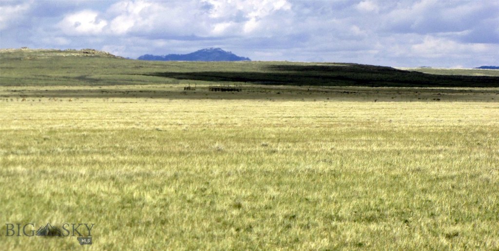Picture 28
