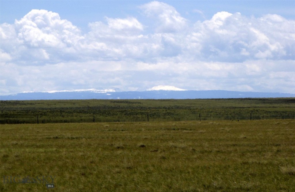 Picture 36