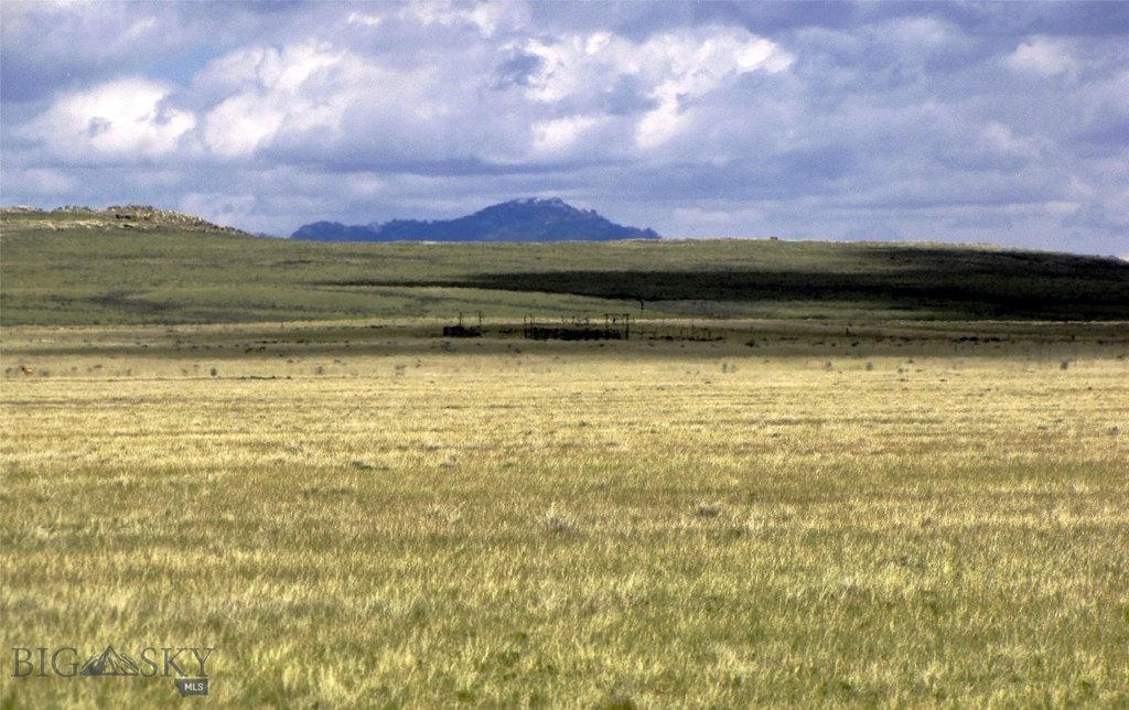Picture 29