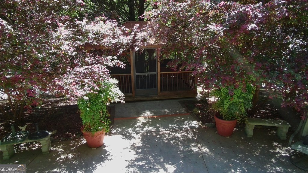 Picture 8