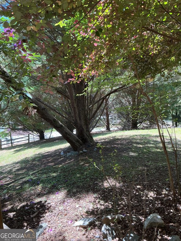 Picture 31