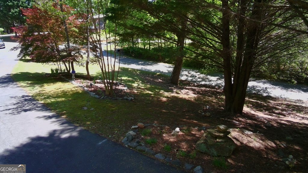 Picture 12