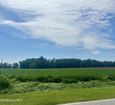 Cleared and Wooded Land