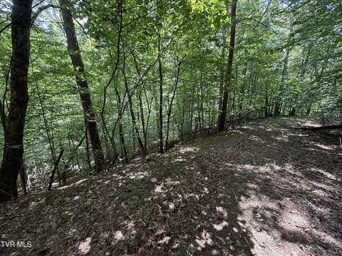 Land, Baneberry, TN