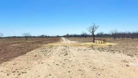 23.78 Acres in Grape Creek