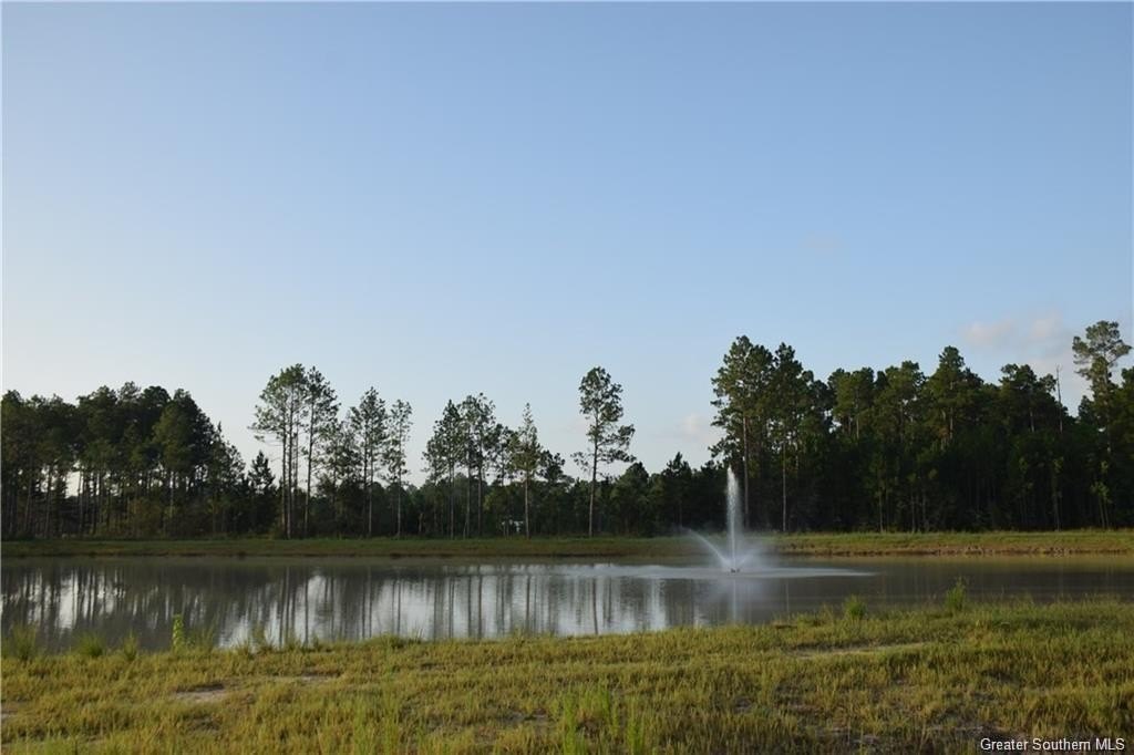 Picture 8