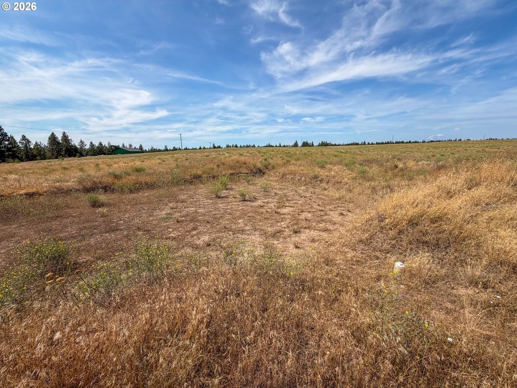 Picture 20