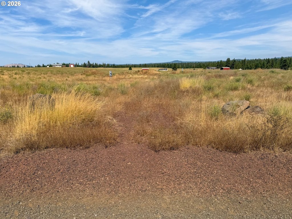 Picture 21