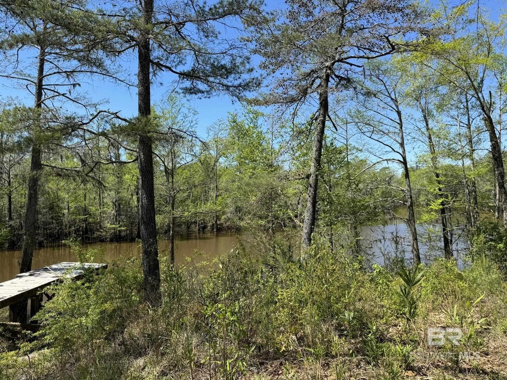 Picture 23