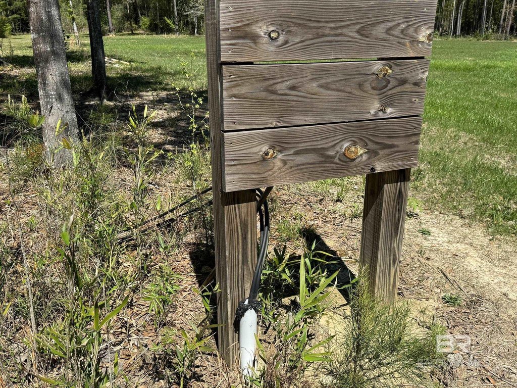 Picture 28