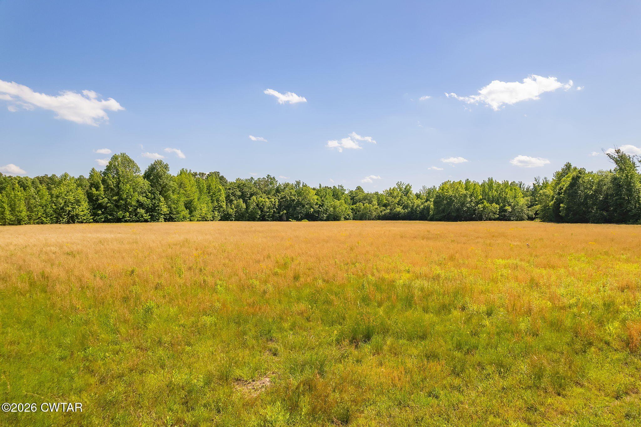 Secluded 65+ Acre Rural Land