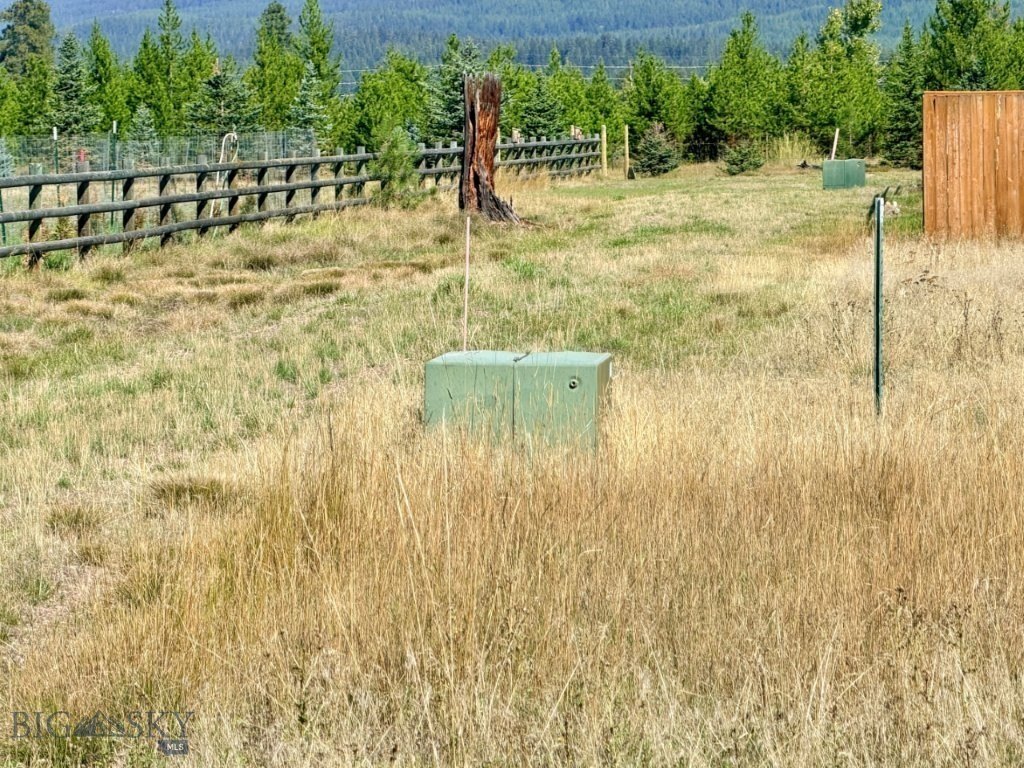 Picture 5
