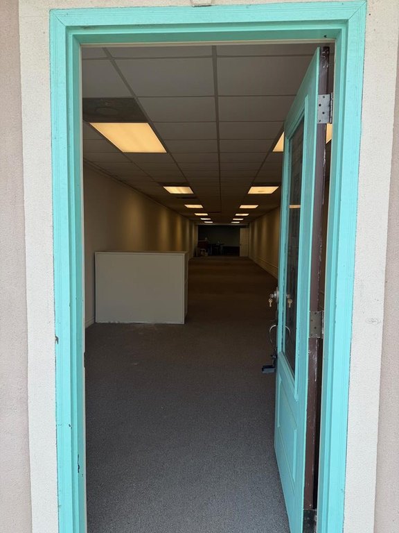 Picture 5