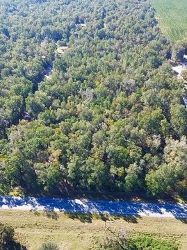 Vacant Land, High Springs, FL