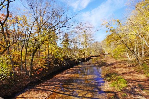Dover Acreage with Flowing Creek