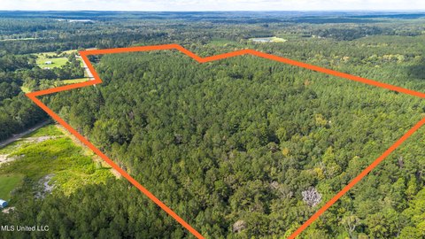 100 Acres in Lumberton, MS