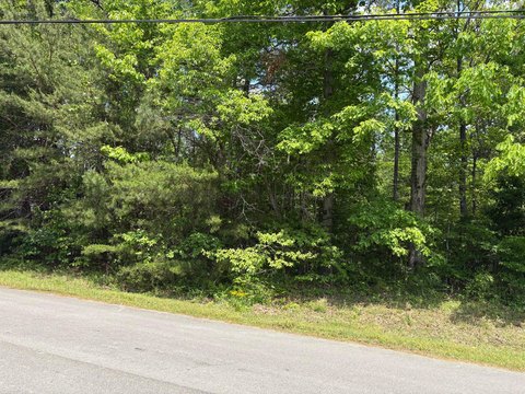 Wooded Residential Lot