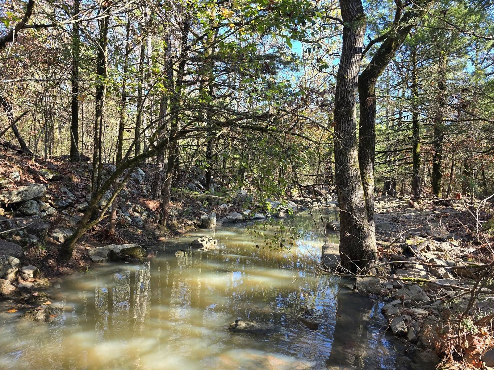 Secluded Land Adjoining National Forest